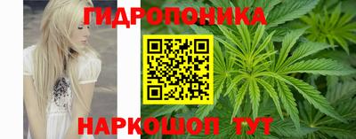 mdpv Аргун