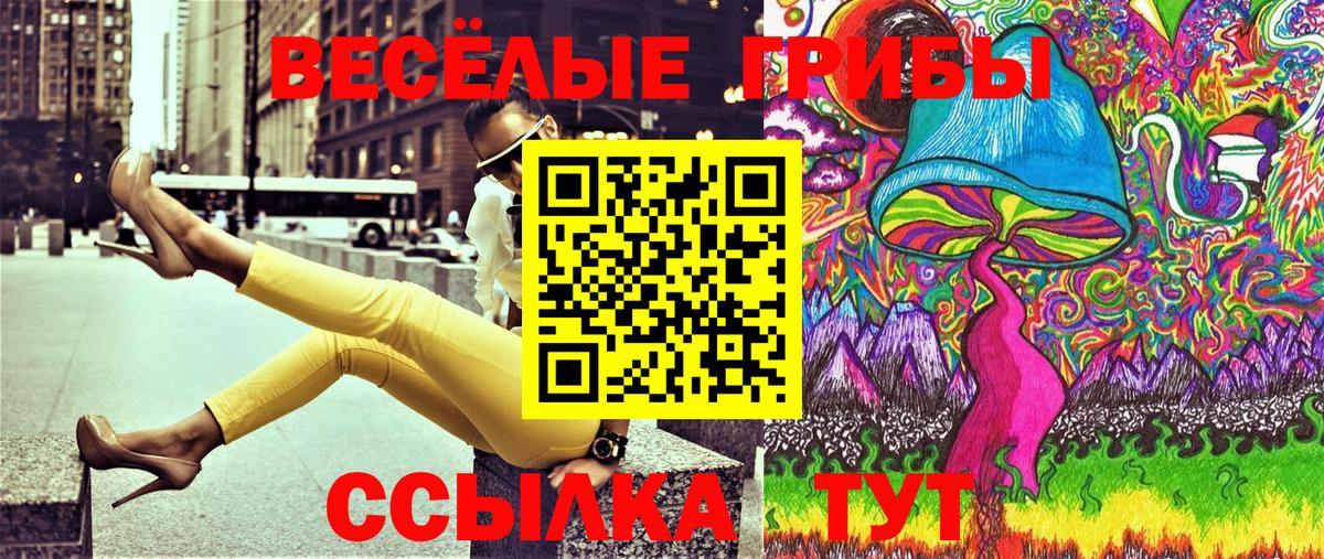 Галлюциногенные грибы Cubensis Богородск