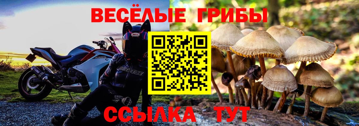 Богородск  Галлюциногенные грибы GOLDEN TEACHER  Вход с VPN 