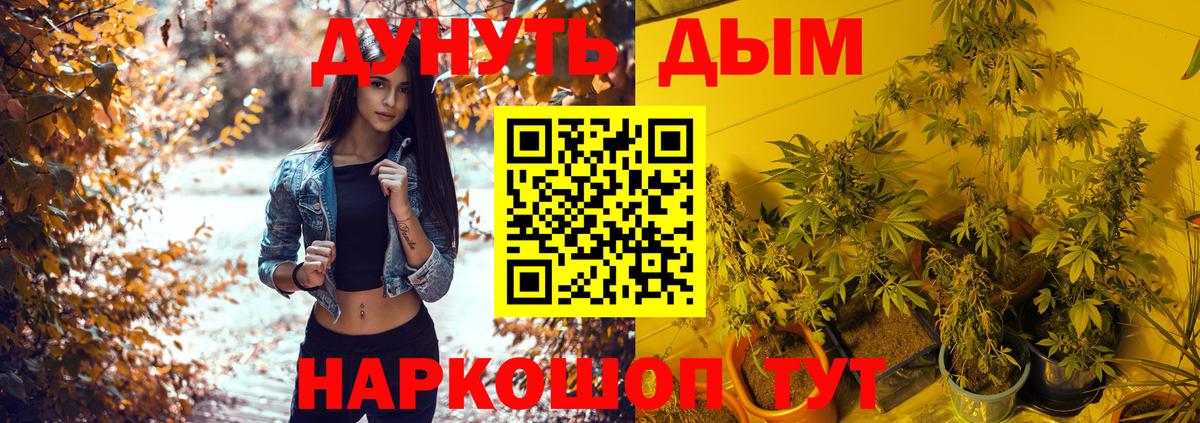 МАРИХУАНА SATIVA & INDICA  Конопля Bruce Banner  Богородск  Марихуана SATIVA & INDICA  Вход с VPN 